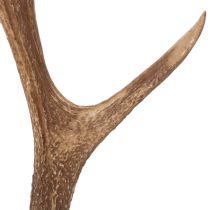 Prodotto Corna artificiali decorative, decorazione rustica per baita, 50 cm