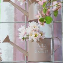 Prodotto Annaffiatoio per fiori in zinco rosa antico Ø16,5cm H17cm