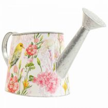 Annaffiatoio decorativo in metallo per piantare, piantare H16cm