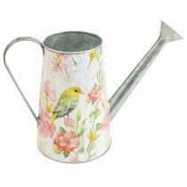 Annaffiatoio decorativo in metallo per piantare, piantare H22cm