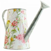 Annaffiatoio decorativo in metallo per piantare, piantare H22cm