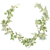Prodotto Ghirlanda artificiale con foglie variegate, 175 cm