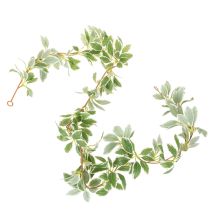 Prodotto Ghirlanda artificiale con foglie variegate, 175 cm