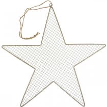 Prodotto Metal Star Mesh Deco Star Metal Deco Oro Ø57cm