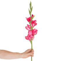 Prodotto Gladiolas artificiali con fiori decorativi, 88 cm