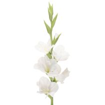Prodotto Gladiolo artificiale, a stelo lungo, per vasi, 88 cm
