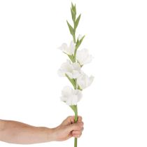 Prodotto Gladiolo artificiale, a stelo lungo, per vasi, 88 cm