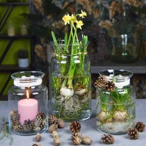 Prodotto Vaso per fiori in vetro largo trasparente Ø12cm H20cm