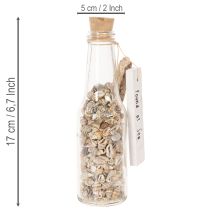 Prodotto Decorazione per bottiglia in vetro con conchiglie e ciondolo, decorazione da tavola a tema marittimo, 17 cm, 2 pezzi