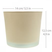 Prodotto Fioriera in vetro beige Fioriera in vetro Ø14,5 cm H12,5 cm