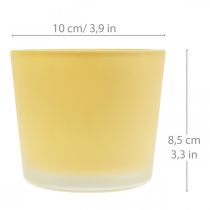 Vaso per fiori in vetro fioriera gialla vasca in vetro Ø10cm H8.5cm