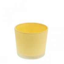 Prodotto Vaso per fiori in vetro fioriera gialla vasca in vetro Ø10cm H8.5cm