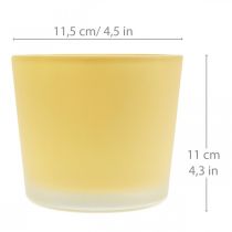 Vaso da fiori in vetro Vaso decorativo giallo in vetro Ø11,5 cm H11 cm