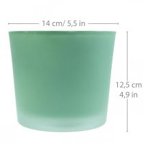 Vaso di fiori in vetro vaso di vetro verde fioriera Ø14,5 cm H12,5 cm