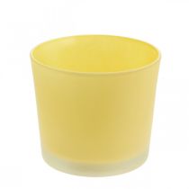 Prodotto Vaso per fiori in vetro vaso per piante giallo vasca in vetro Ø14,5 cm H12,5 cm