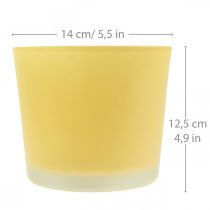 Vaso per fiori in vetro vaso per piante giallo vasca in vetro Ø14,5 cm H12,5 cm
