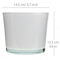 Prodotto Vaso da fiori in vetro bianco fioriera in vetro vasca Ø14,5 cm H12,5 cm