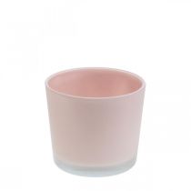 Fioriera fioriera in vetro rosa vasca Ø10cm H8.5cm