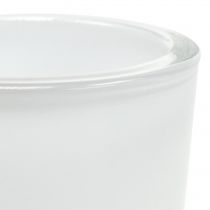 Prodotto Vaso in vetro Ø7,8 cm H8 cm bianco