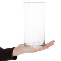 Prodotto Vaso alto in vetro, semplice cilindro in vetro utilizzabile come vaso per fiori o oggetto decorativo, 20 cm