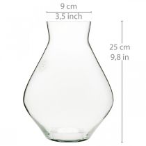 Vaso di fiori in vetro bulboso vaso di vetro trasparente vaso decorativo Ø20cm H25cm