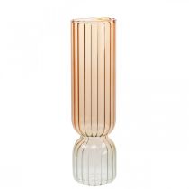 Vaso in vetro Vaso decorativo Mini vaso trasparente marrone Ø5cm H18cm