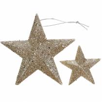 Prodotto Stella glitterata champagne 9,5/5 cm 18 pz