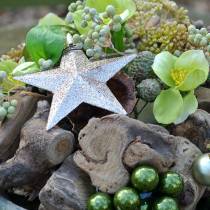 Prodotto Stella glitterata champagne 9,5/5 cm 18 pz