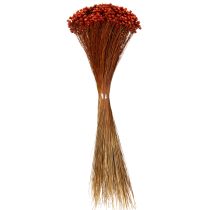 Prodotto Bouquet di fiori secchi, un'aggiunta affascinante a vasi o composizioni, 44 cm