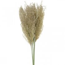 Erba ornamentale in erba secca per decorazione floristica secca natura H55cm