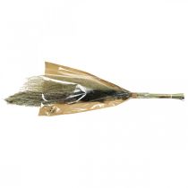 Prodotto Erbe secche in grappolo Floristica secca Mazzo secco H70cm