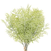 Prodotto Ramo ornamentale di asparagi, aggiunta naturale ai bouquet di fiori, 34 cm, 7 pezzi
