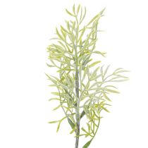 Prodotto Ramo ornamentale di asparagi, aggiunta naturale ai bouquet di fiori, 34 cm, 7 pezzi