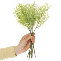 Prodotto Ramo ornamentale di asparagi, aggiunta naturale ai bouquet di fiori, 34 cm, 7 pezzi