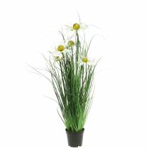Erba con echinacea artificialmente nel vaso bianco 52 cm