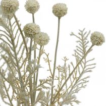 Erbe secche erba di pampa artificiale allium crema, beige H60cm