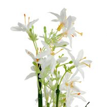 Prodotto Cespuglio d&#39;erba con fiori verde, bianco 3 pz