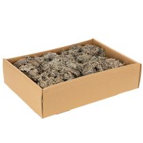 Prodotto Muschio decorativo, muschio grigio per lavori artigianali, 500 g