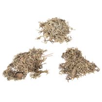 Prodotto Muschio decorativo, muschio grigio per lavori artigianali, 500 g