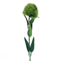 Prodotto Fiore artificiale garofano barbuto verde come dal giardino 54 cm