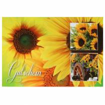 Buono girasole con busta 5pz