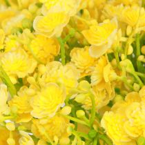 Prodotto Gypsophila panicolata gesso erba fiori gialli L46cm 4 pz