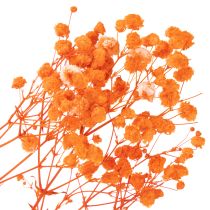 Prodotto Bouquet di fiori secchi di Gypsophila (velo da sposa), 75 cm, 100 g