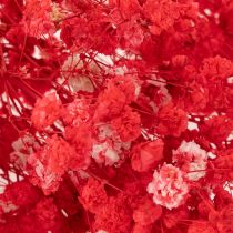 Prodotto Mazzetto di Gypsophila essiccata, 75 cm, 100 g