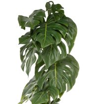 Prodotto Monstera artificiale con fogliame grande per accenti eleganti nella zona giorno 120 cm