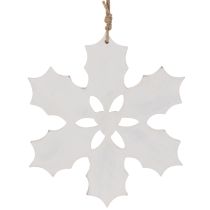 Prodotto Decorazione natalizia a forma di agrifoglio, da appendere, 26 cm