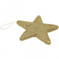 Prodotto Decorazione natalizia Stella con glitter dorato 18,5cm 4pz