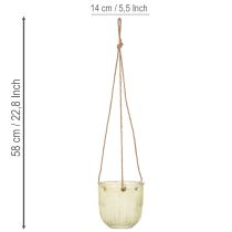Prodotto Vaso in vetro sospeso, vaso decorativo in vetro, stile retrò, verde/marrone, 14,5 cm, 2 pezzi