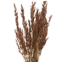 Prodotto Decorazione secca di avena erba secca marrone L64cm 70-75g 2 pezzi