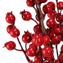 Prodotto Decorazione di rosa canina, rami decorativi artificiali, rosso, L62 cm, 3 pezzi